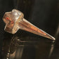 Coffin Claw Ring  -Solid Sterling Silver, Handmade, comfort fit